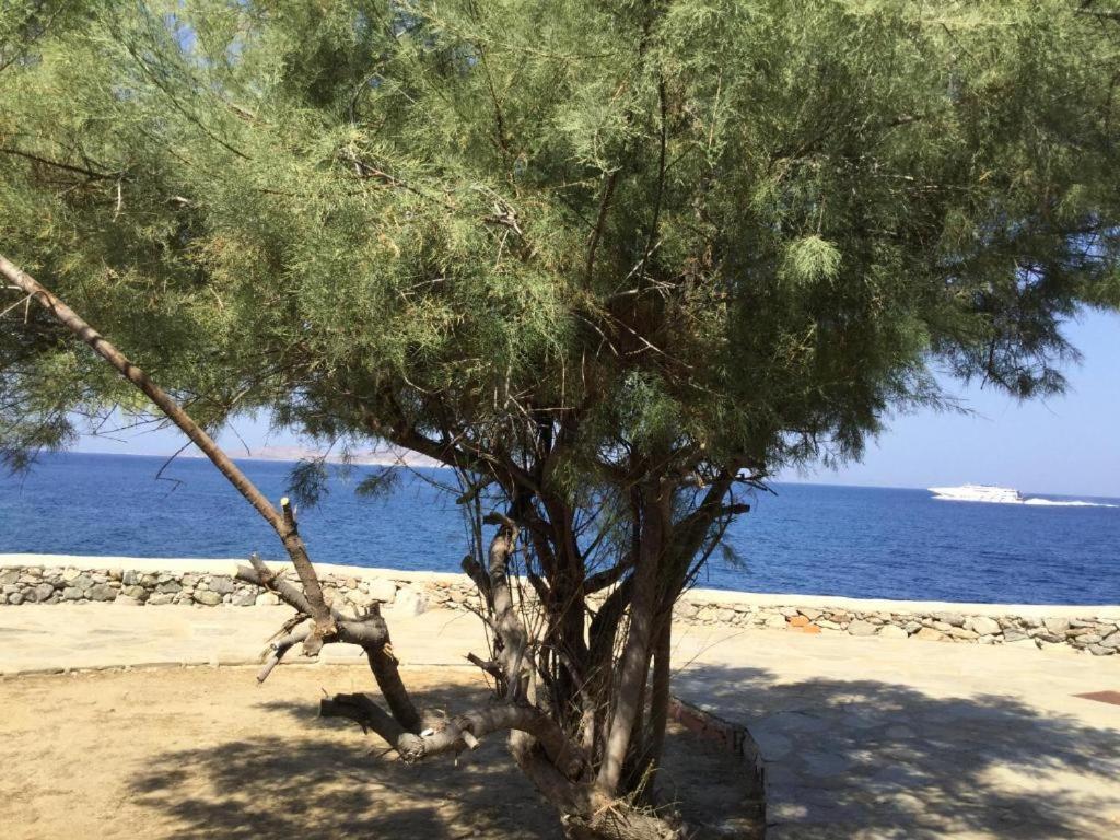Hotel Poseidon Secret Blue Pools Ornos  Exterior foto